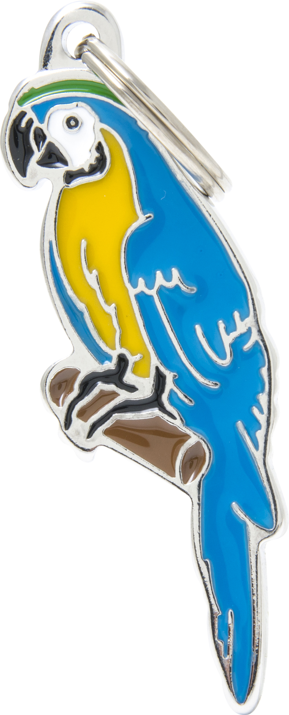 Wild papukaija MyFamily - Nimi- ja kaiverruslaatat - 058987 - 1