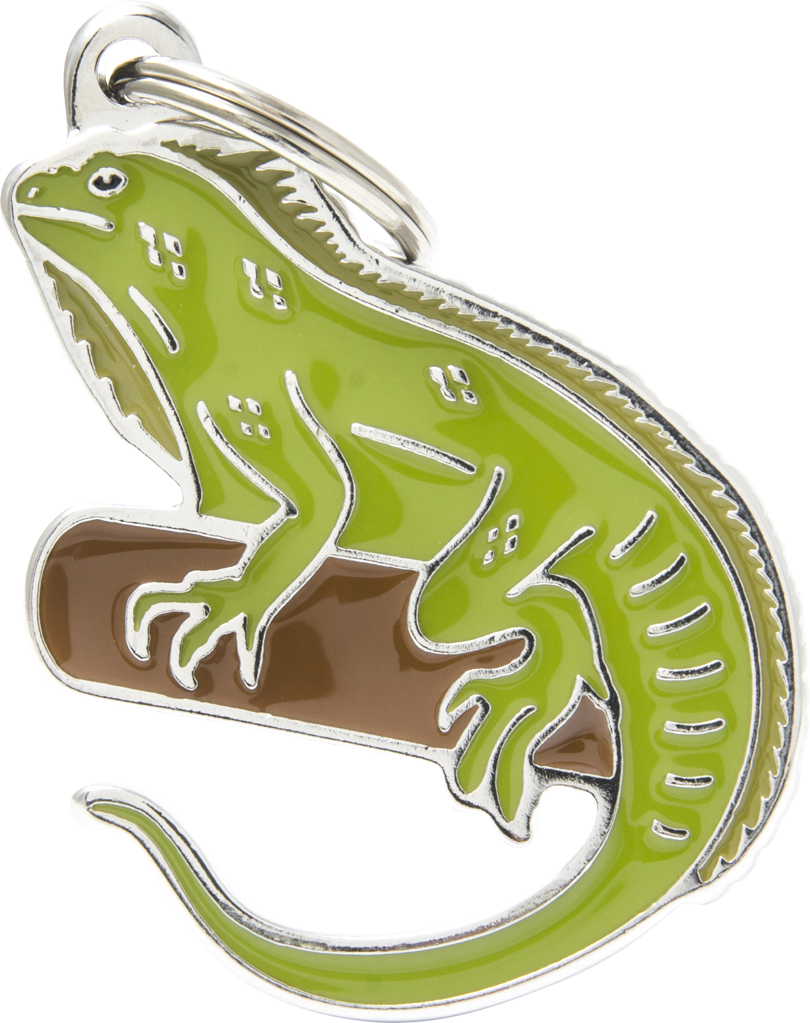 Wild iguaani MyFamily - Nimi- ja kaiverruslaatat - 058984 - 1