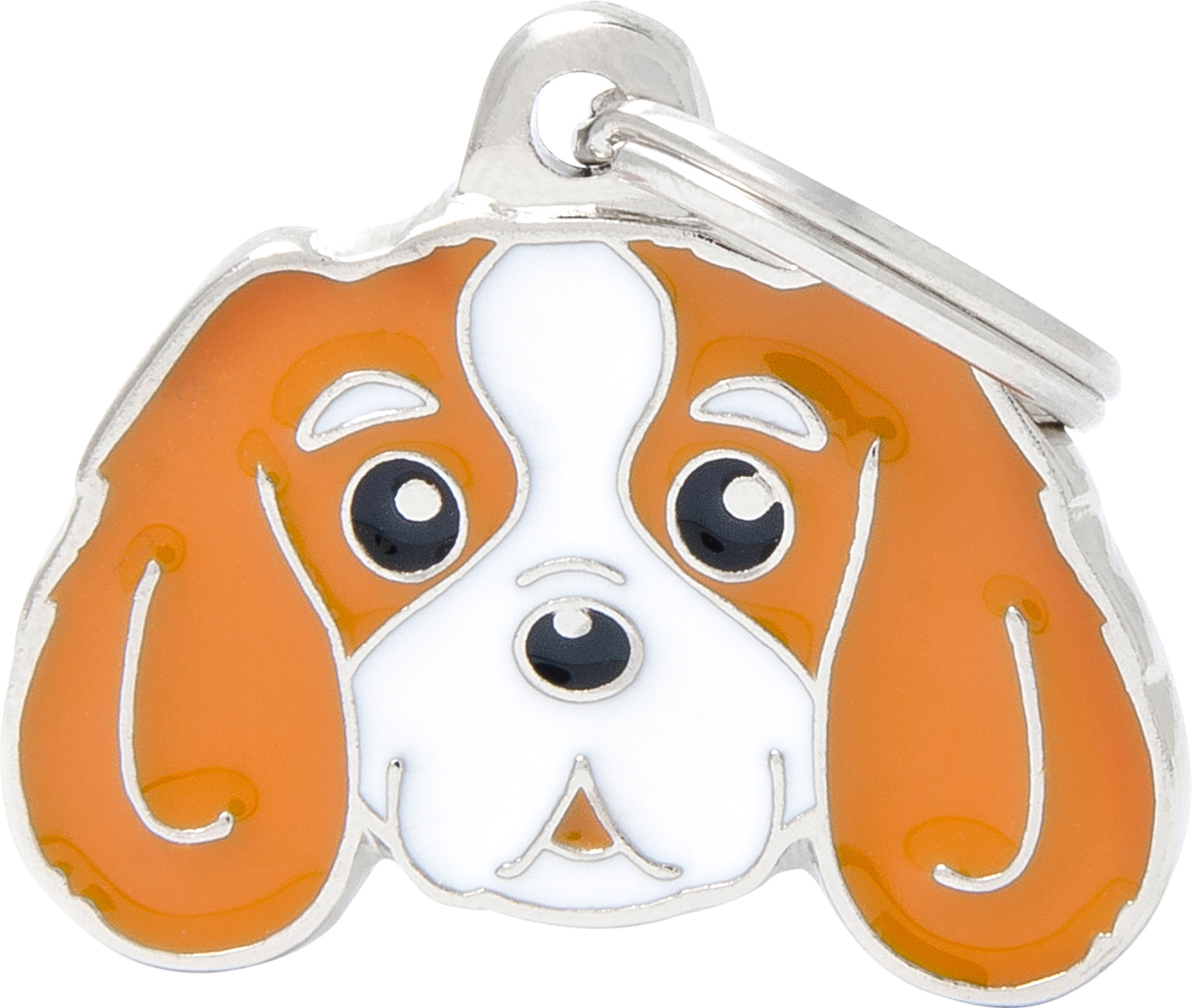 Friends cavalierkingcharlesinspanieli blenheim MyFamily - Nimi- ja kaiverruslaatat - 058547 - 1