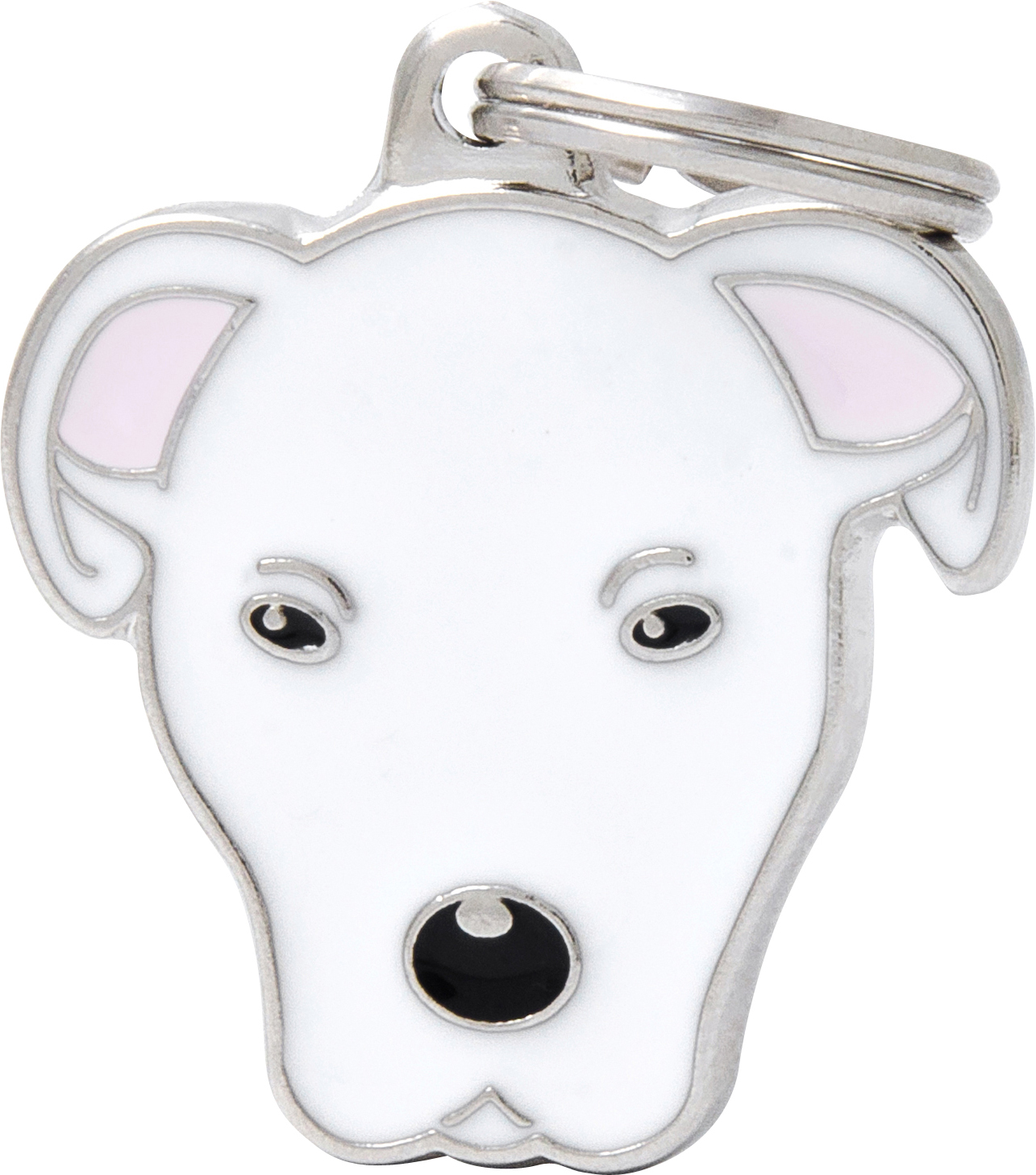 Friends dogo argentino MyFamily - Nimi- ja kaiverruslaatat - 058601 - 1