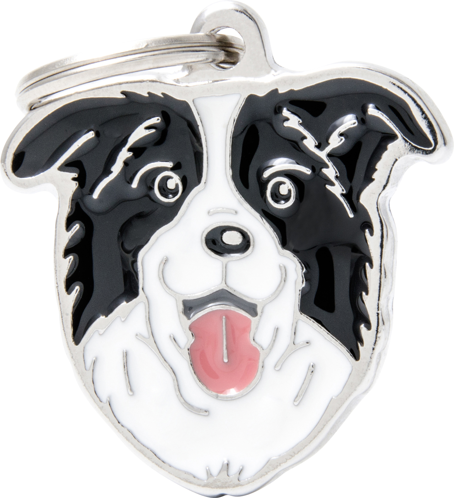 Friends bordercollie MyFamily - Nimi- ja kaiverruslaatat - 058511 - 1